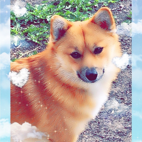 Meet your Posher, Alissa - Picture 11 of 16